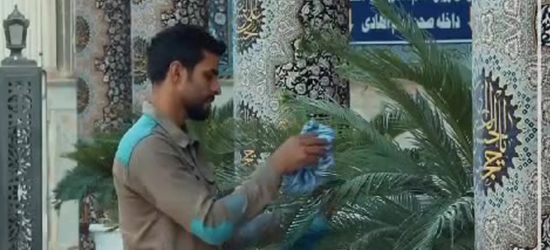 کاش میشد خدمتی میکردم به شما، مثل قنبر و خادمانتان